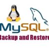 Mysq backup and restore